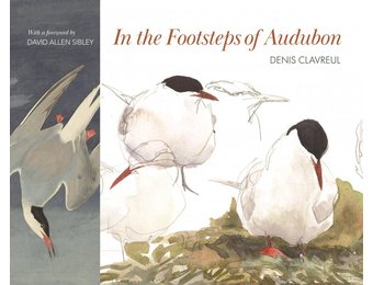In the Footsteps of Audubon