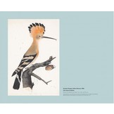 In the Footsteps of Audubon