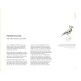 In the Footsteps of Audubon