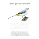 Vogeldoeboek - Herken, teken, noteer