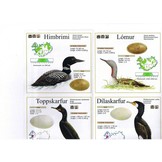 Birdwatchers' Map of Iceland