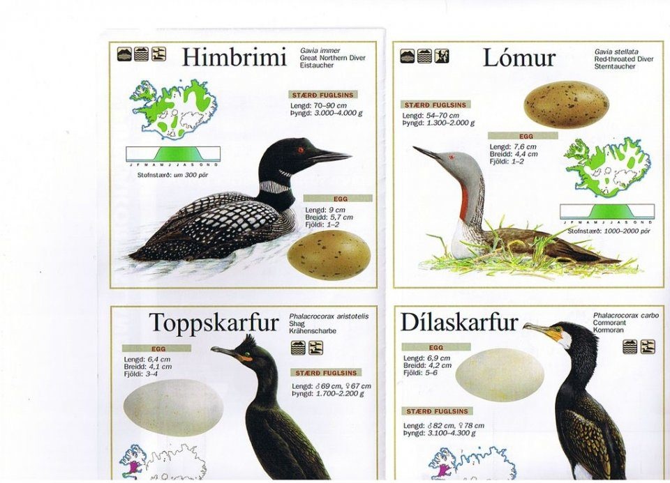 Birdwatchers' Map of Iceland
