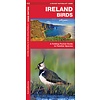 Ireland Birds