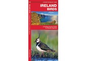 Ireland Birds