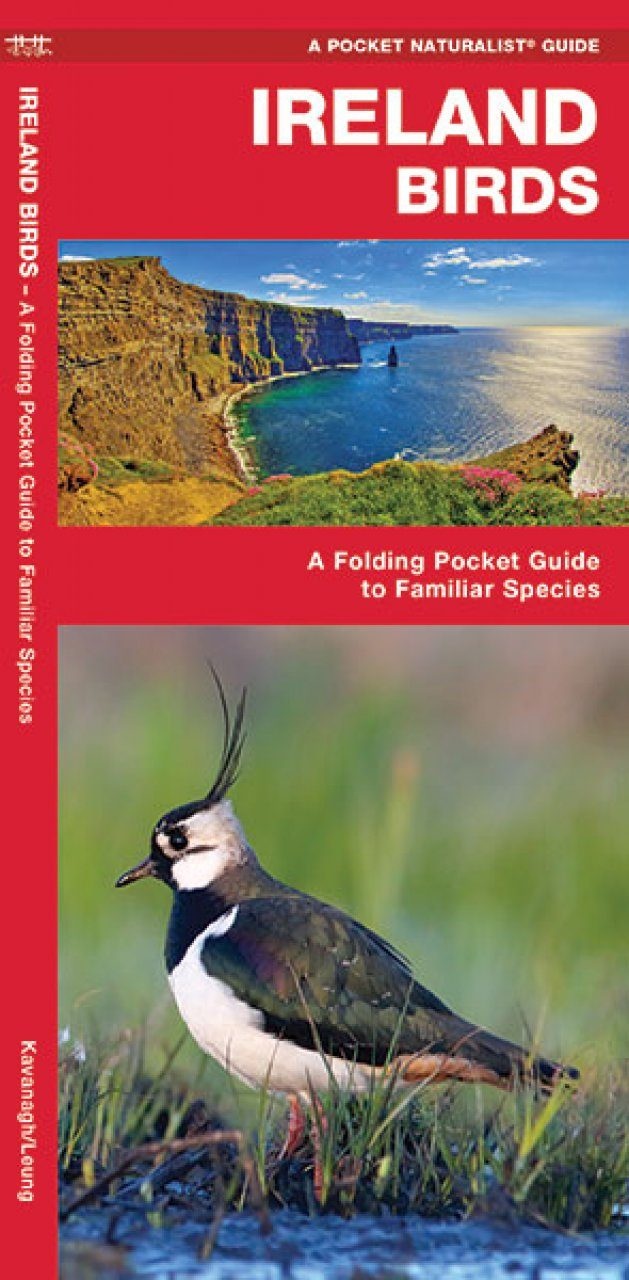 Ireland Birds - A Folding Pocket Guide to Familiar Species