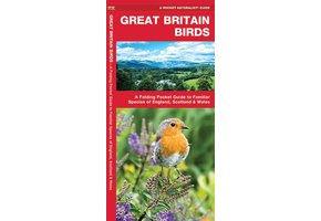 Great Britain Birds