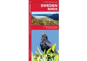 Sweden Birds