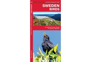 Sweden Birds