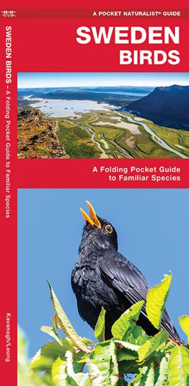Sweden Birds - A Folding Pocket Guide to Familiar Species