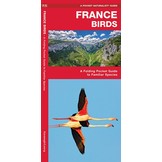 France Birds - A Folding Pocket Guide to Familiar Species