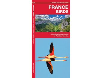 France Birds