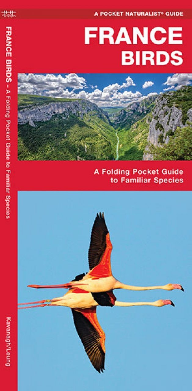France Birds - A Folding Pocket Guide to Familiar Species