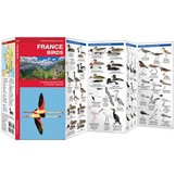 France Birds - A Folding Pocket Guide to Familiar Species
