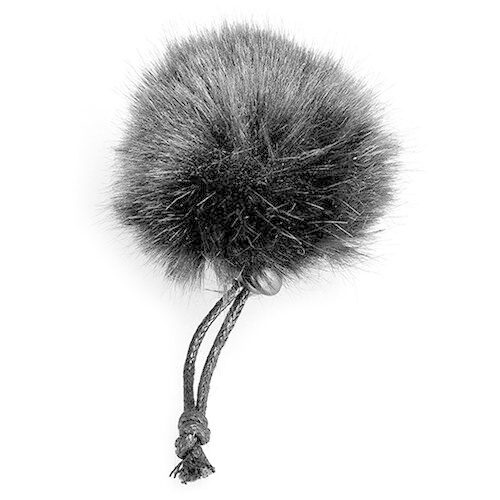 Windshield for Immersive Soundscapes Microphones