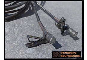 EarSight Nano PIP Stereomikrofon