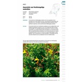 Veldgids Plantengemeenschappen van Nederland - Herkenning - Ecologie - Verspreiding
