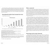 Stick and Leaf-Insects of the World