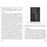 Stick and Leaf-Insects of the World