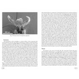 Stick and Leaf-Insects of the World