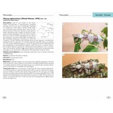 Stick and Leaf-Insects of the World