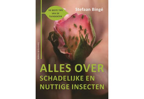 Alles over schadelijke en nuttige insecten