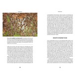 Het bewustzijn van de bij