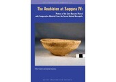 Damaged copy - The Anubieion at Saqqara IV