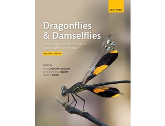 Dragonflies & Damselflies