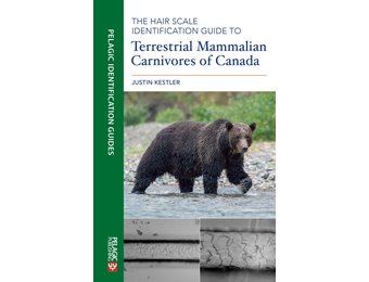 The Hair Scale Identification Guide to Terrestrial Mammalian Carnivores of Canada