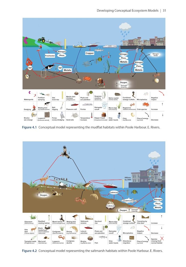Harbour Ecology - Environment and Development in Poole Harbour