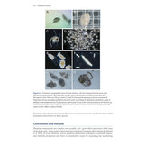 Harbour Ecology - Environment and Development in Poole Harbour