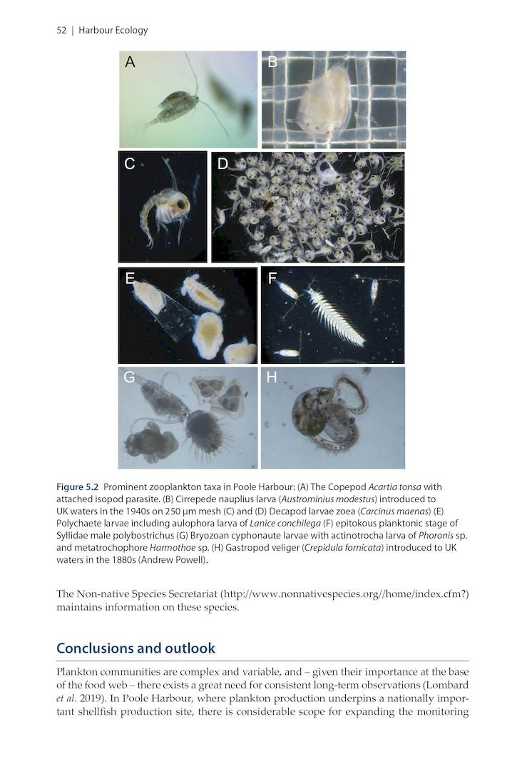Harbour Ecology - Environment and Development in Poole Harbour