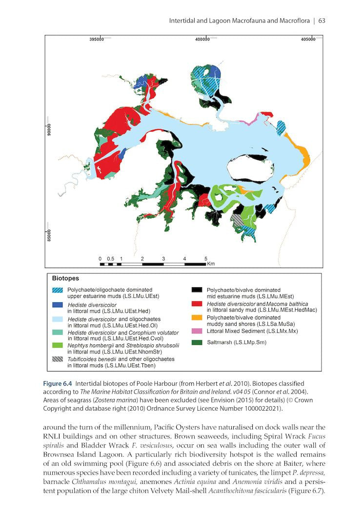 Harbour Ecology - Environment and Development in Poole Harbour