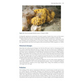 Harbour Ecology - Environment and Development in Poole Harbour