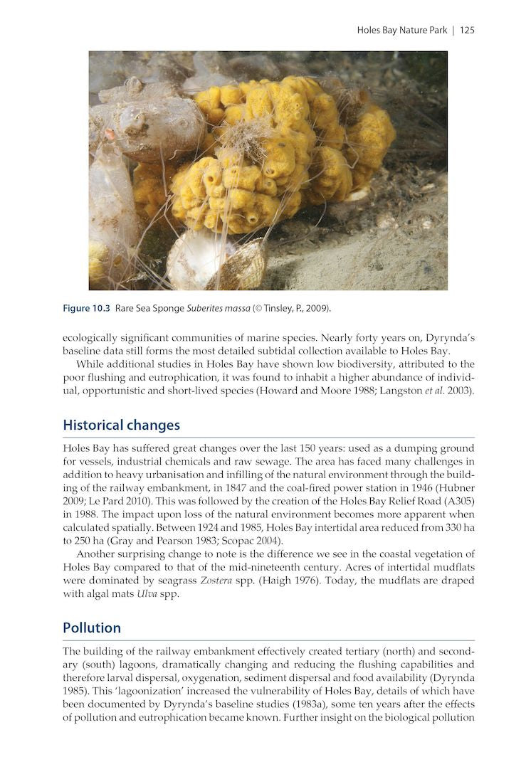 Harbour Ecology - Environment and Development in Poole Harbour