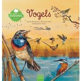 Willewete - Vogels