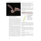 Handbook of Mammals of Madagascar