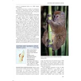 Handbook of Mammals of Madagascar