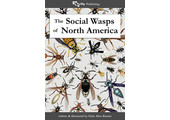 The Social Wasps of North America