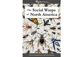 The Social Wasps of North America