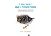 Baby Bird Identification