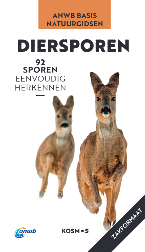 ANWB Basis Natuurgids - Diersporen - 92 sporen eenvoudig herkennen