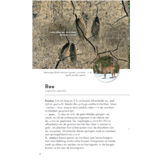ANWB Basis Natuurgids - Diersporen - 92 sporen eenvoudig herkennen