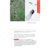 ANWB Basis Natuurgids - Diersporen - 92 sporen eenvoudig herkennen
