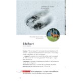 ANWB Basis Natuurgids - Diersporen - 92 sporen eenvoudig herkennen