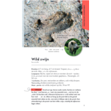 ANWB Basis Natuurgids - Diersporen - 92 sporen eenvoudig herkennen