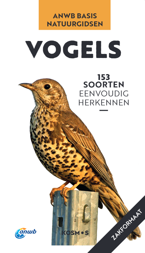 ANWB Basis Natuurgids - Vogels - 153 soorten eenvoudig herkennen