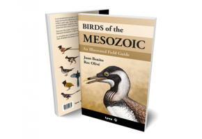 Birds of the Mesozoic