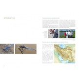 The Damselflies and Dragonflies of Iran - Odonata Persica