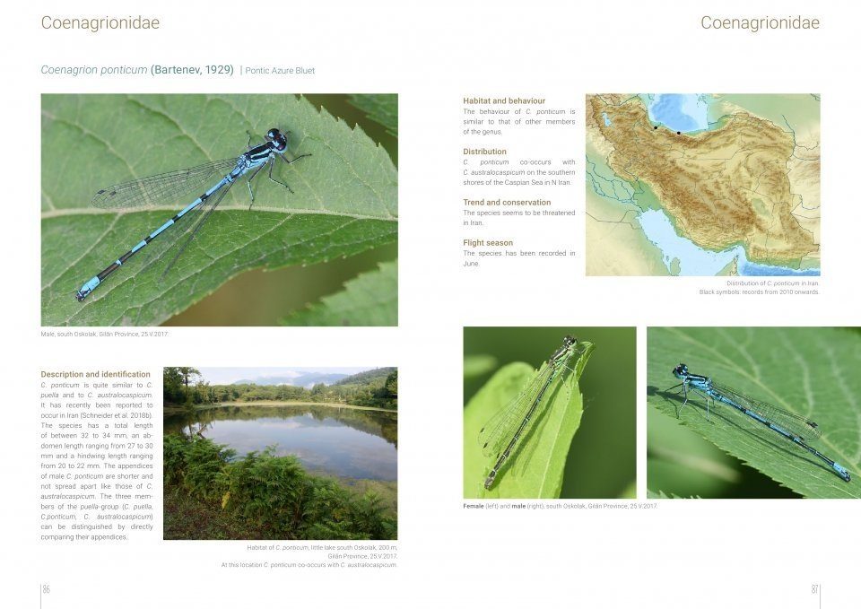 The Damselflies and Dragonflies of Iran - Odonata Persica